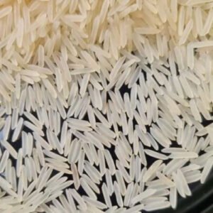 1121 Non-Pesticide Rice