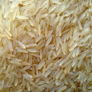1509 Non-Pesticide Rice